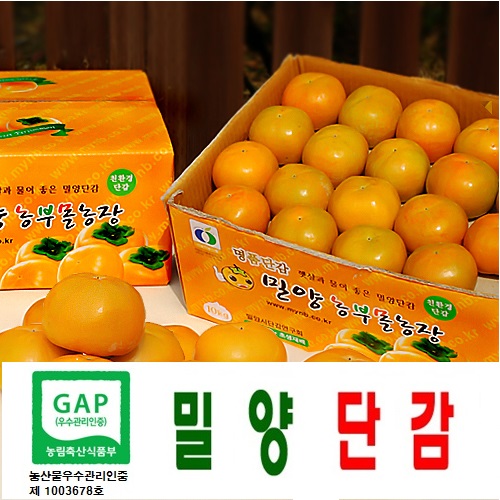 햇단감  GAP인증  밀양단감 부유5kg (27- 30과내외 중과) 무료배송
